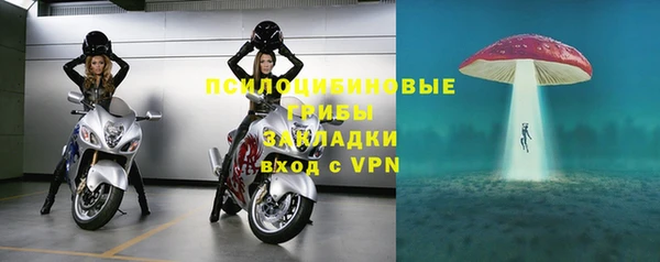 дмт Армянск
