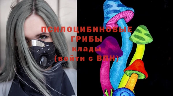 дмт Армянск